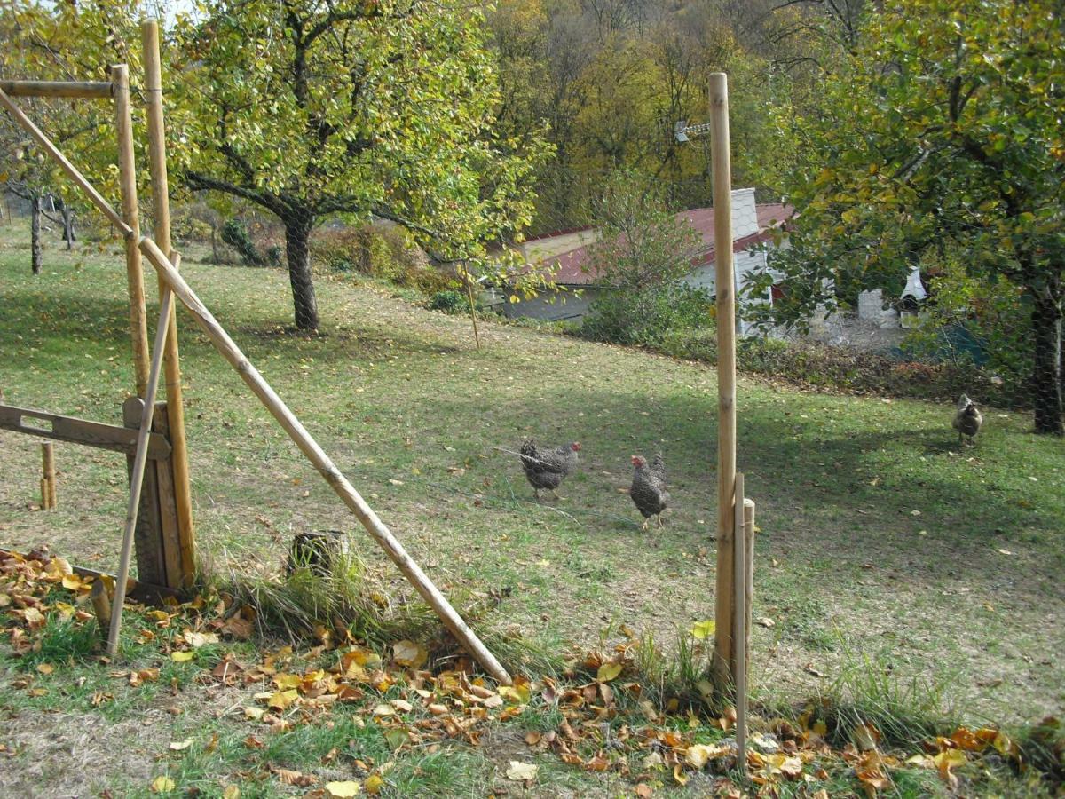 La Maison Imparfaite Fourbanne Luaran gambar